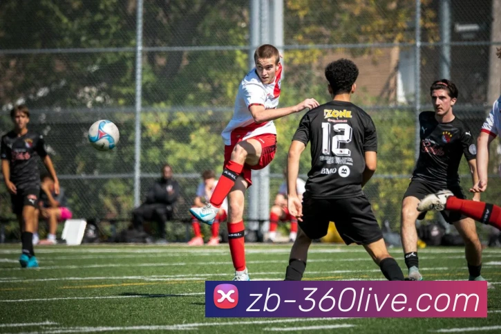 五大联赛的幕后英雄走进球场志愿者聆听他们与足球的温情故事